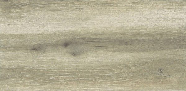 Forest Birch 30x60 FT/WT - Image 2