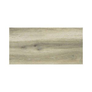 Forest Birch 30x60