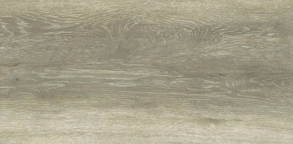 Forest Birch 30x60 FT/WT - Image 3