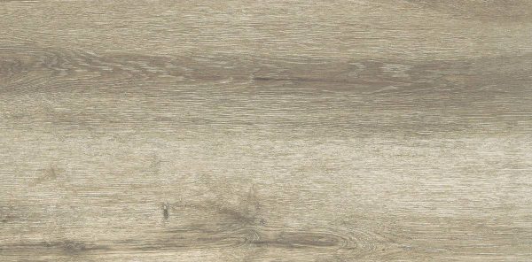 Forest Birch 30x60 FT/WT - Image 4