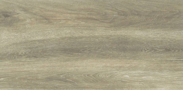 Forest Birch 30x60 FT/WT - Image 5