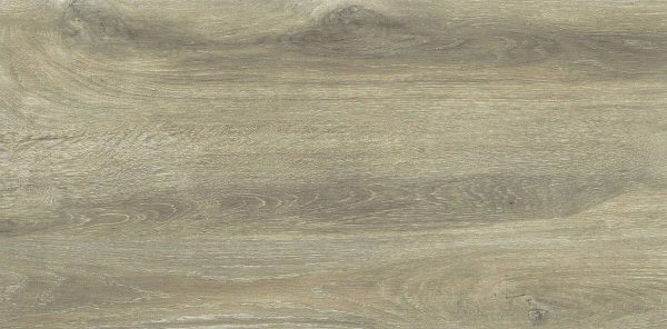 Forest Birch 30x60 FT/WT - Image 6