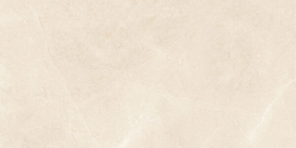 Elegant Beige 30x60 FT/WT - Image 2