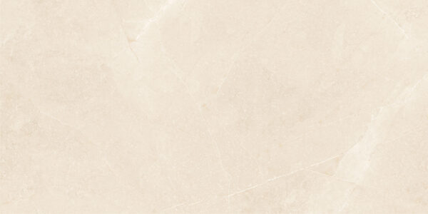 Elegant Beige 30x60 FT/WT - Image 3