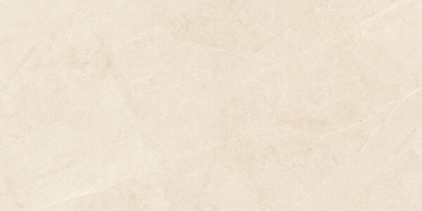 Elegant Beige 30x60 FT/WT - Image 10