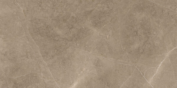 Elegant Taupe 30x60 FT/WT - Image 2