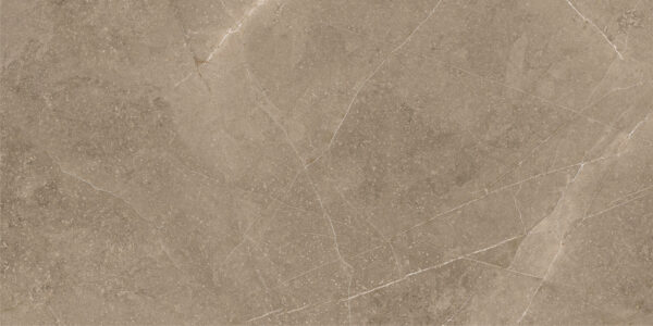 Elegant Taupe 30x60 FT/WT - Image 3
