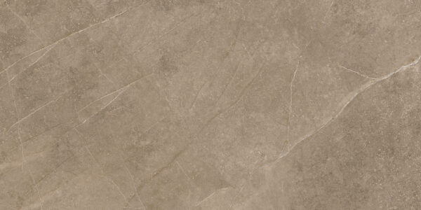 Elegant Taupe 30x60 FT/WT - Image 4
