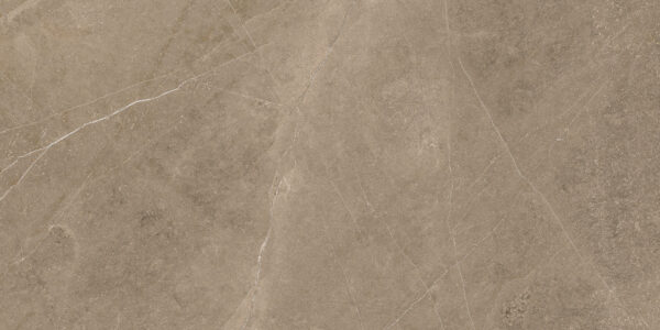 Elegant Taupe 30x60 FT/WT - Image 5