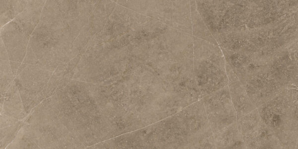 Elegant Taupe 30x60 FT/WT - Image 6