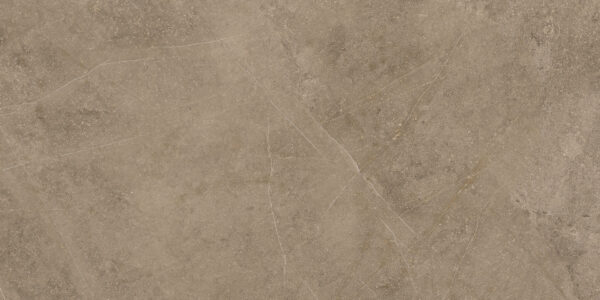 Elegant Taupe 30x60 FT/WT - Image 8