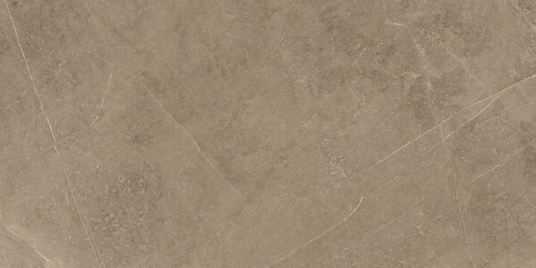 Elegant Taupe 30x60 FT/WT - Image 9