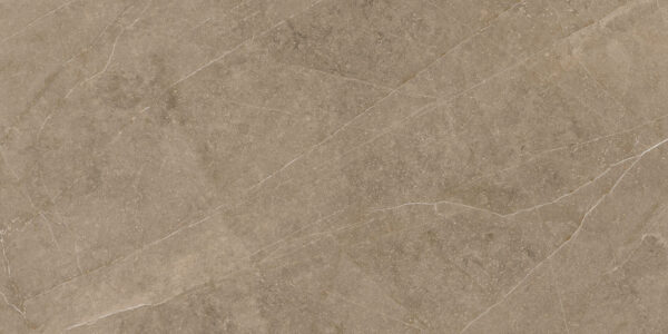 Elegant Taupe 30x60 FT/WT - Image 10