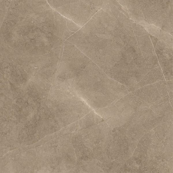 Elegant Taupe 60x60 FT/WT - Image 3