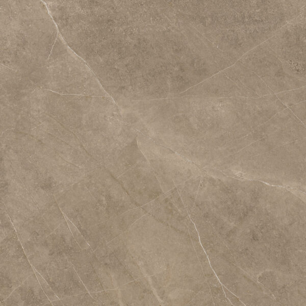Elegant Taupe 60x60 FT/WT - Image 4