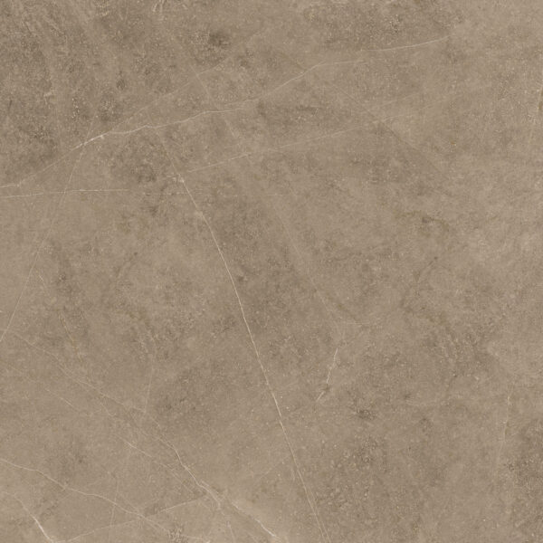 Elegant Taupe 60x60 FT/WT - Image 5
