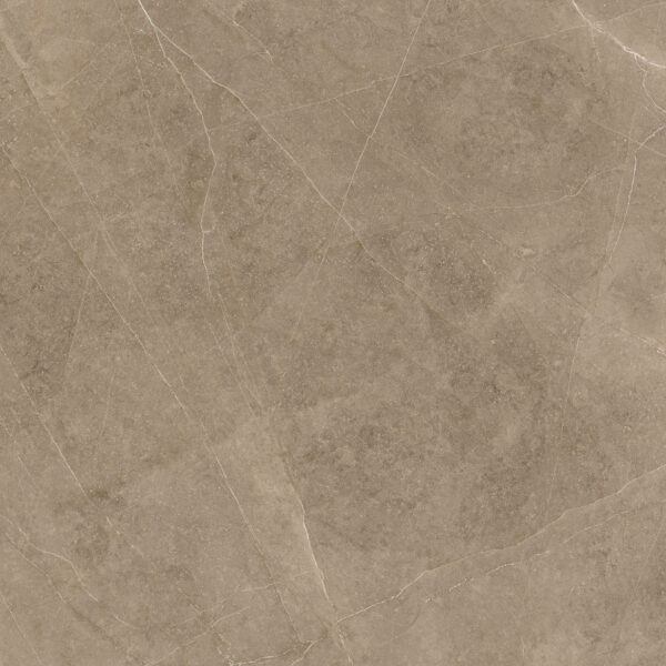 Elegant Taupe 60x60 FT/WT - Image 8
