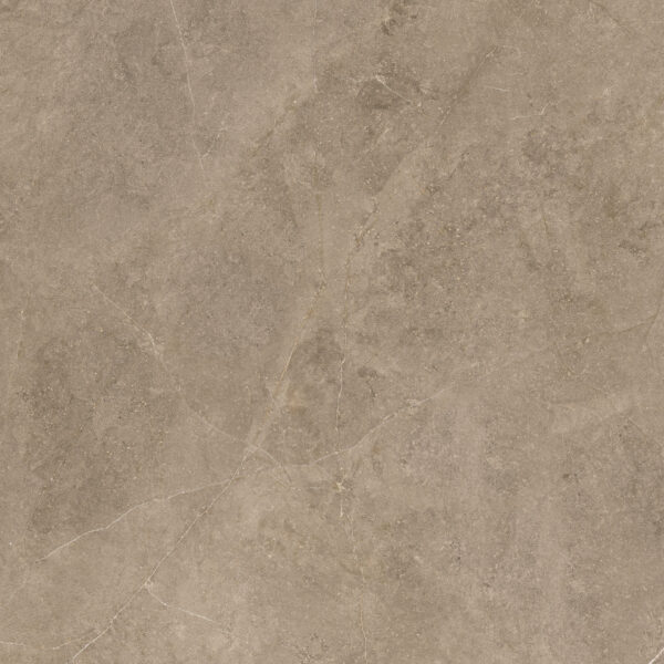 Elegant Taupe 60x60 FT/WT - Image 9