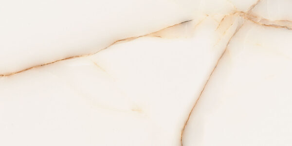 Imperial Gold 30x60 FT/WT - Image 6