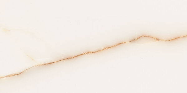 Imperial Gold 30x60 FT/WT - Image 7