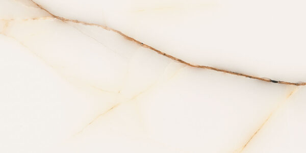 Imperial Gold 30x60 FT/WT - Image 10