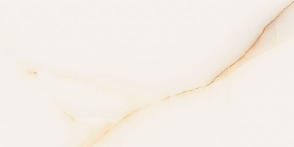 Imperial Gold 30x60 FT/WT - Image 11