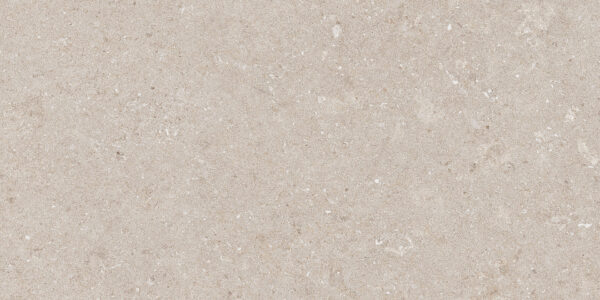 Natural Beige 30x60 FT/WT - Image 2
