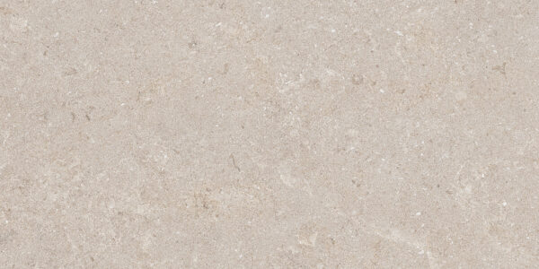Natural Beige 30x60 FT/WT - Image 5