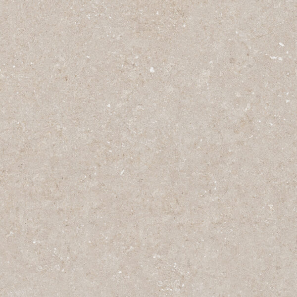 Natural Beige 60x60 FT/WT - Image 3
