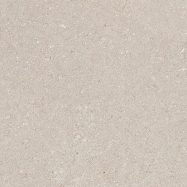 Natural Beige 60x60 FT/WT - Image 5