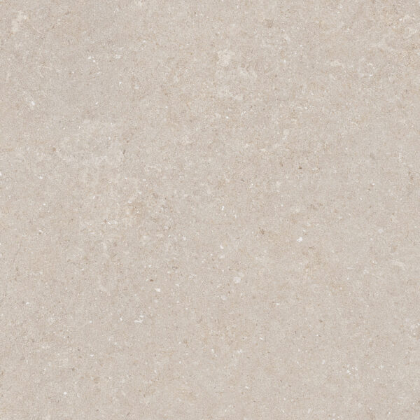 Natural Beige 60x60 FT/WT - Image 8
