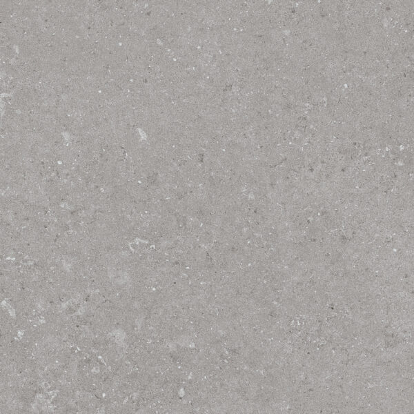 Natural Taupe 60x60 FT/WT - Image 3