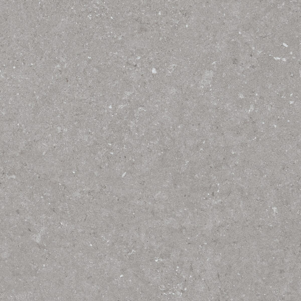Natural Taupe 60x60 FT/WT - Image 4