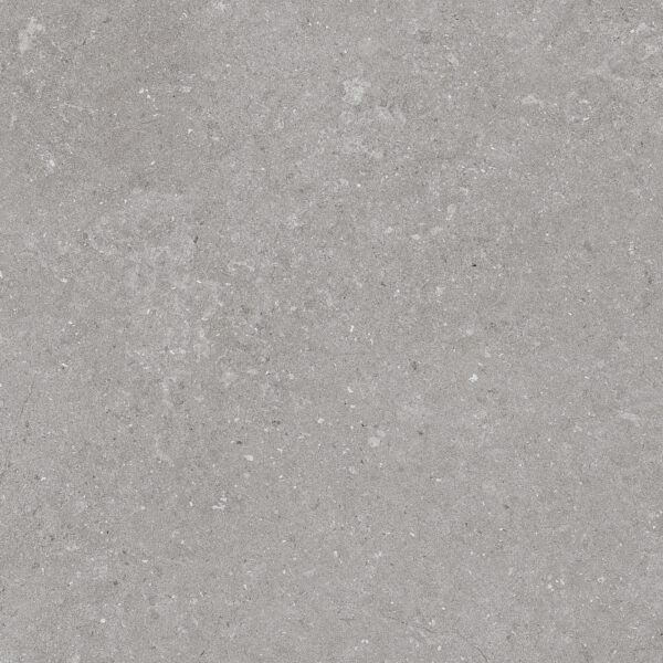 Natural Taupe 60x60 FT/WT - Image 9