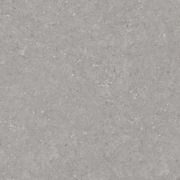 Natural Taupe 60x60 FT/WT - Image 10