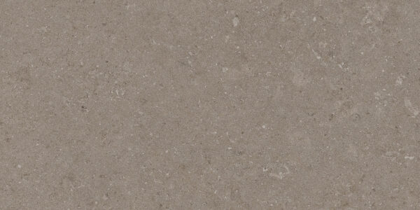 Natural Taupe 30x60 FT/WT - Image 2