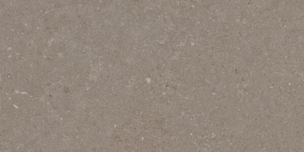 Natural Taupe 30x60 FT/WT - Image 3