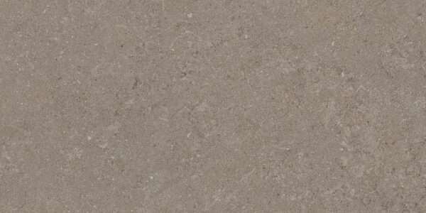 Natural Taupe 30x60 FT/WT - Image 6