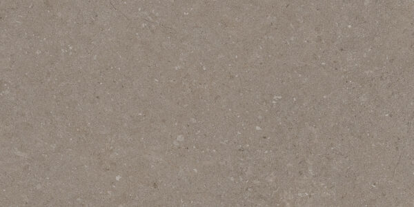 Natural Taupe 30x60 FT/WT - Image 10